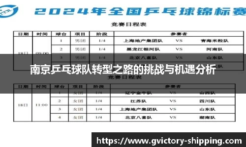 南京乒乓球队转型之路的挑战与机遇分析