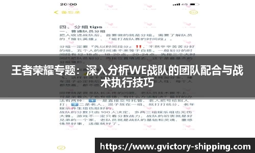 王者荣耀专题：深入分析WE战队的团队配合与战术执行技巧