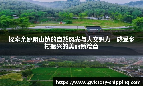 365完美体育官网